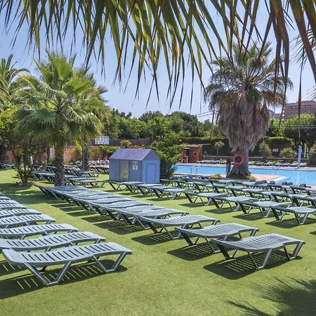 Apartments In Blanes/Costa Brava 35181 מראה חיצוני תמונה